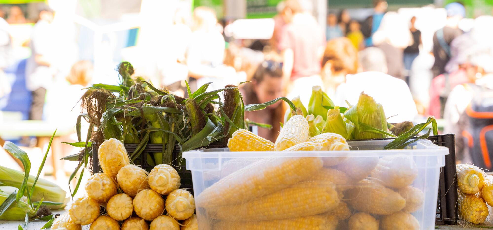 mais au marché